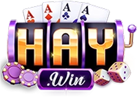 Logo Haywin